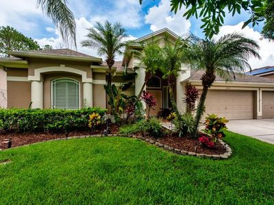 10532 Plantation Bay Dr, Tampa, FL, 33647