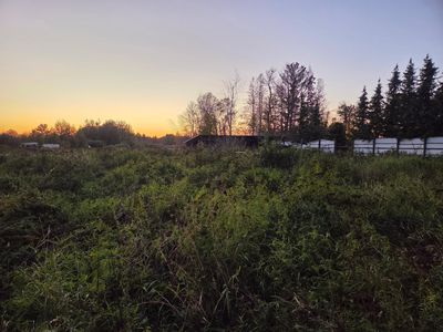36101 Pincherry Rd, Cohasset, MN, 55721