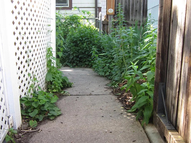 5553 S Prince St — Photo 17