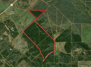 PARCEL Fenley Flat Rd #30383, Pollok, TX 75969