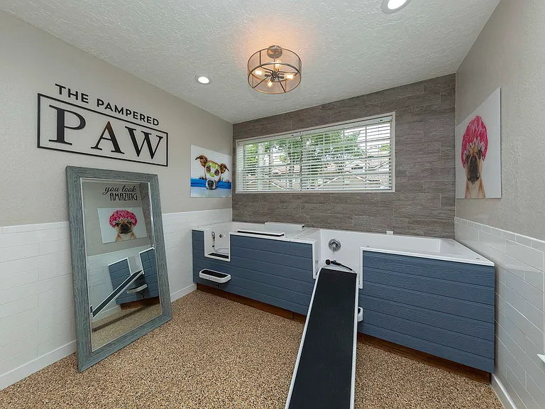 Pet Spa