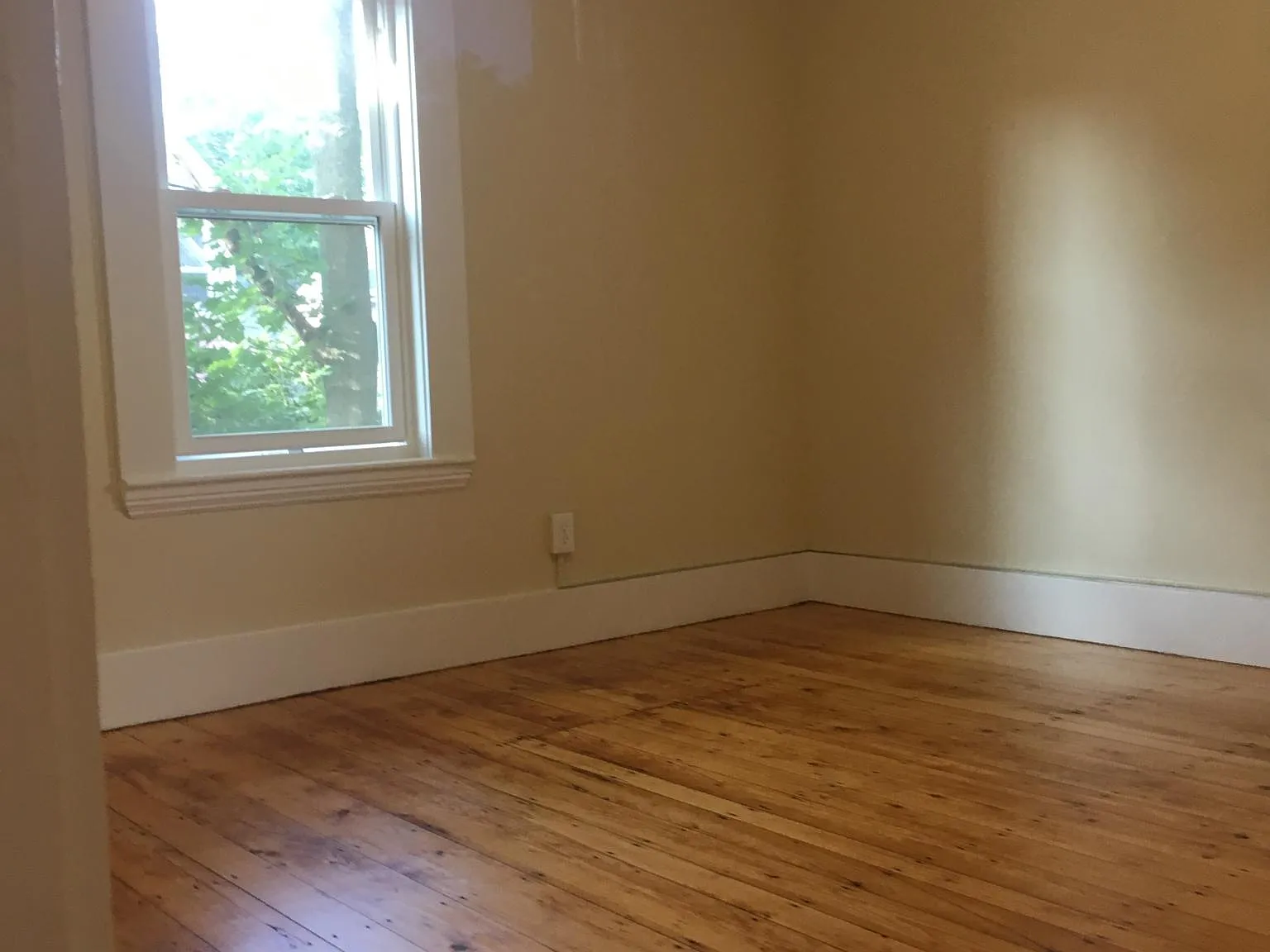 36 Wrentham St — Photo 3