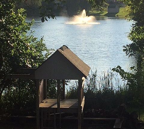 Pond View