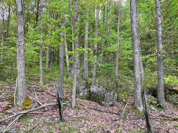 Union Rd, Philippi, WV 26416