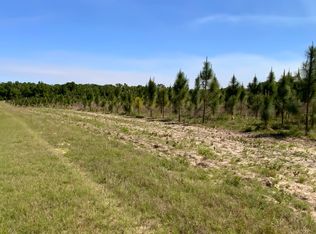 132 Cr, Live Oak, FL 32060