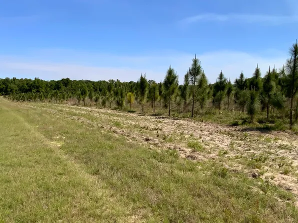 132 Cr, Live Oak, FL 32060