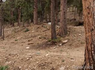 12 High View Ln, Bailey, CO 80421