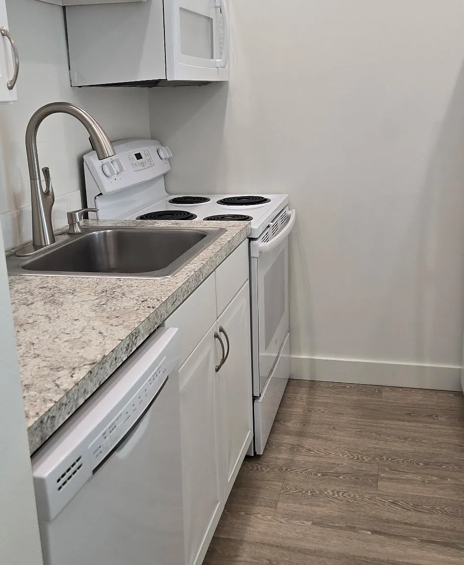 1 bed, 600 sqft, $1,600 — Photo 3