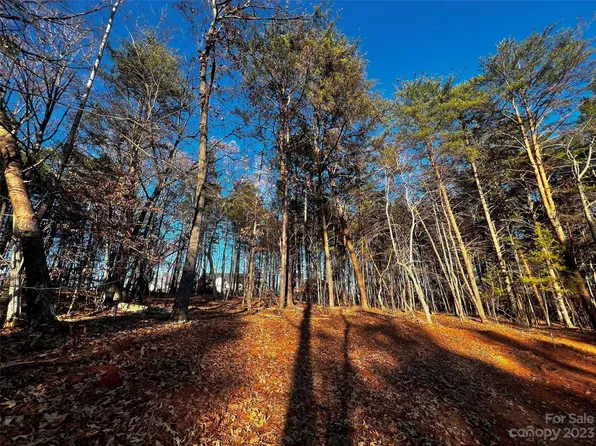 127 Hunt Camp Trl #16, Davidson, NC 28036