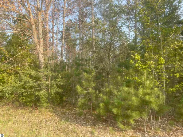 LOT I Riley Rd, Interlochen, MI 49643