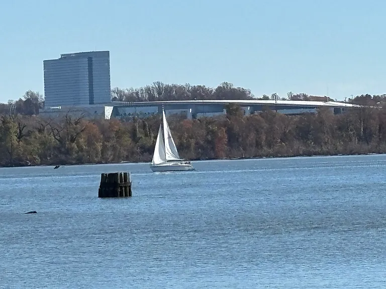 Water views