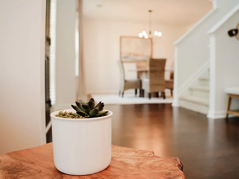 803 Broderick Cir — Photo 32