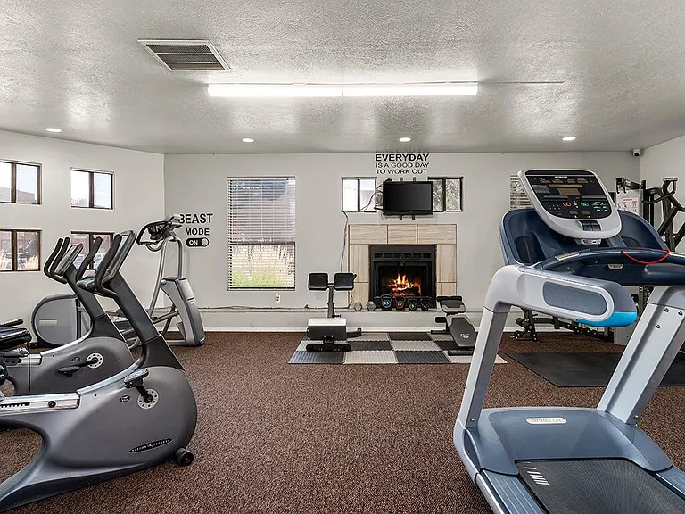 Cardio Equipment