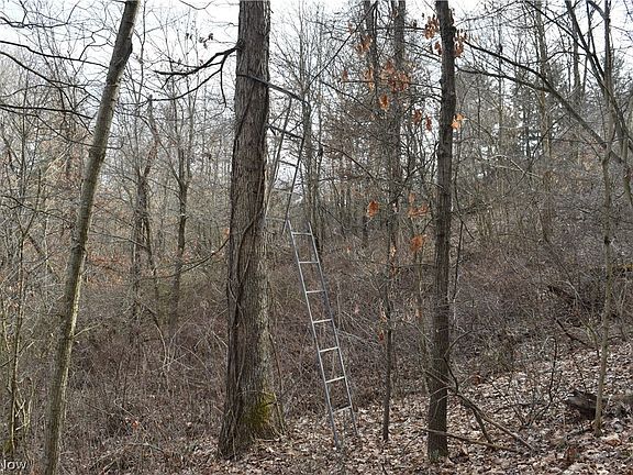 2nd image of Wood St