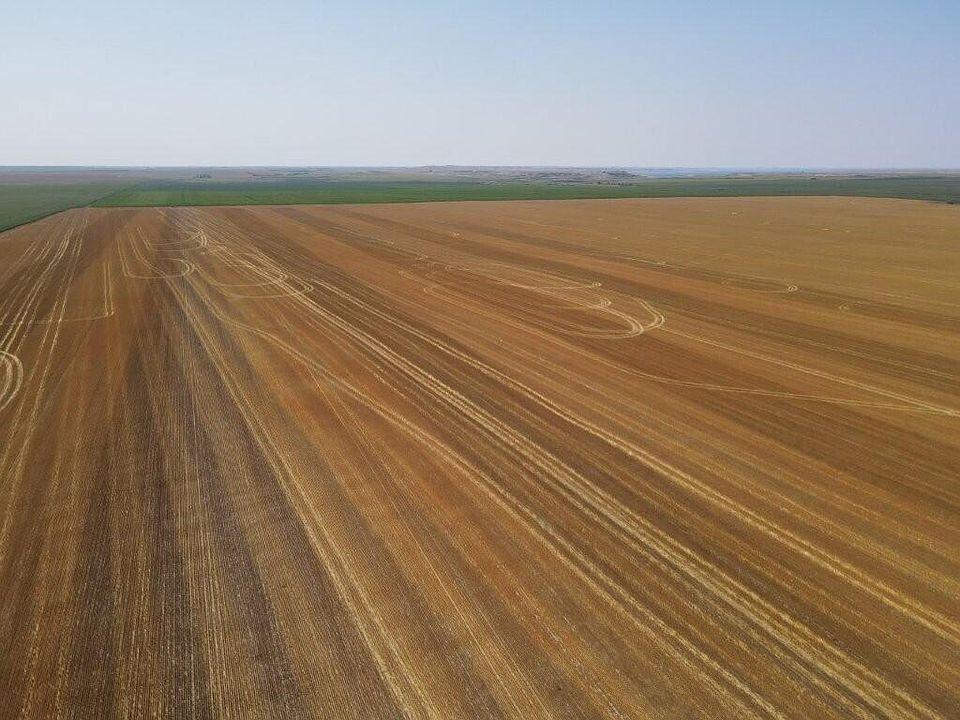 1st image of Dakota St #1804