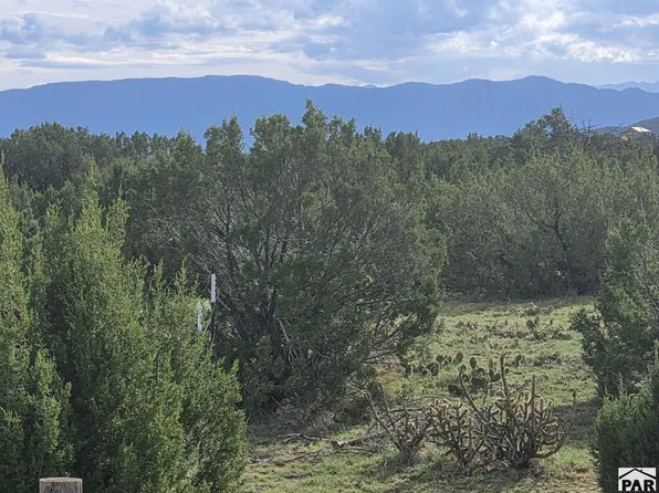1284 Red Rocks Cir, Penrose, CO 81240