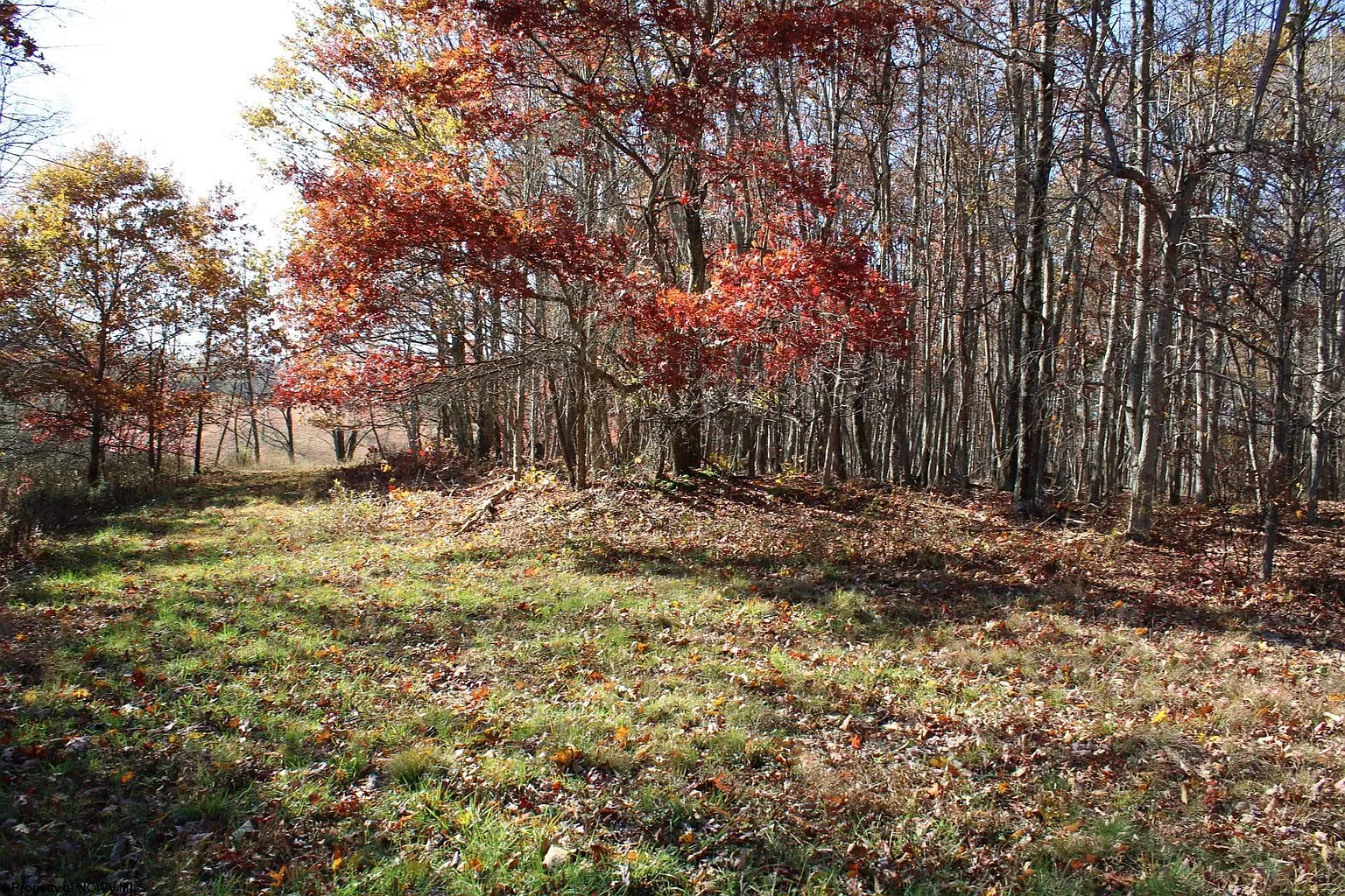 LOT 5 Cascade Rd photo 1