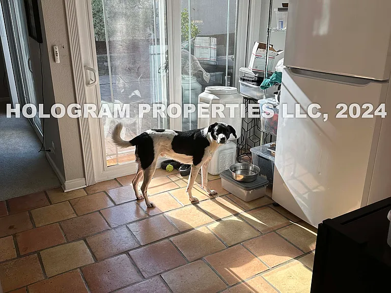 2325 Ganador Ct — Photo 21
