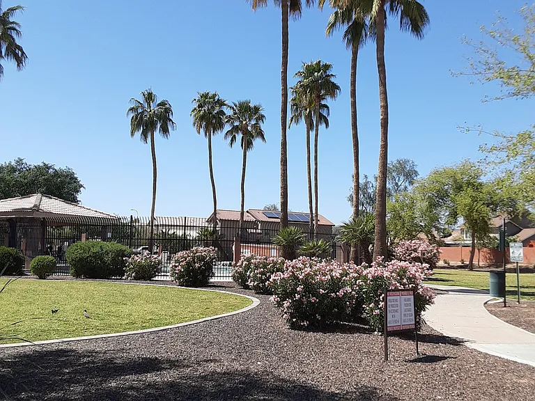 Community park by the pool area
