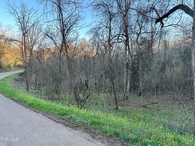 Cassells Chapel Rd, Dungannon, VA, 24245