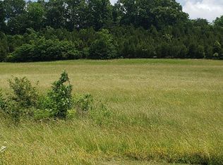 405 Branch Rd, Fall Branch, TN 37656