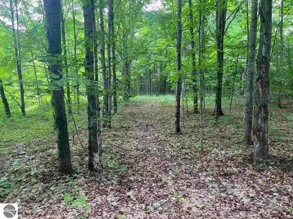 0 W Armstrong Lake Trl, Empire, MI 49630