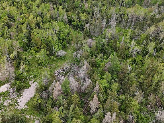 5th image of E Matheson Rd