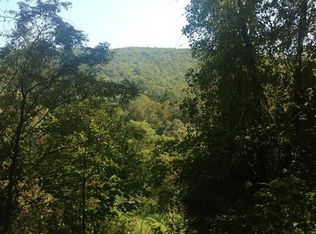 17 Tara Dr, Asheville, NC 28806