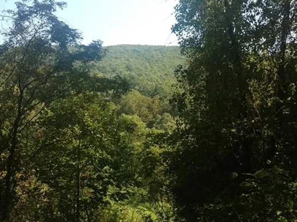 17 Tara Dr, Asheville, NC 28806