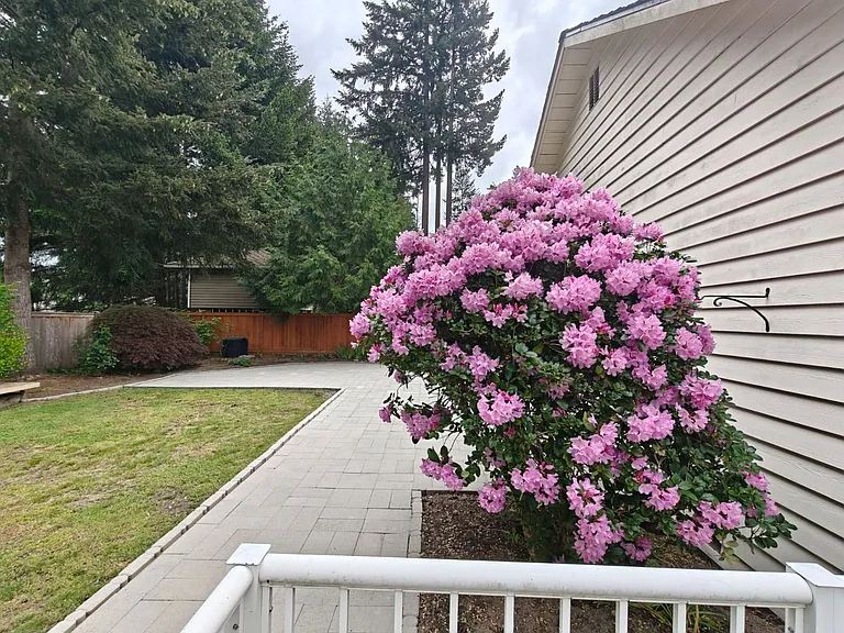 3703 122nd Pl SE — Photo 19