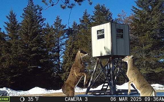 5th image of 2965 Bankton Rd SW
