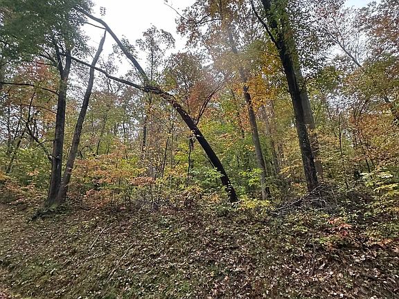 3rd image of Coon Creek Rd