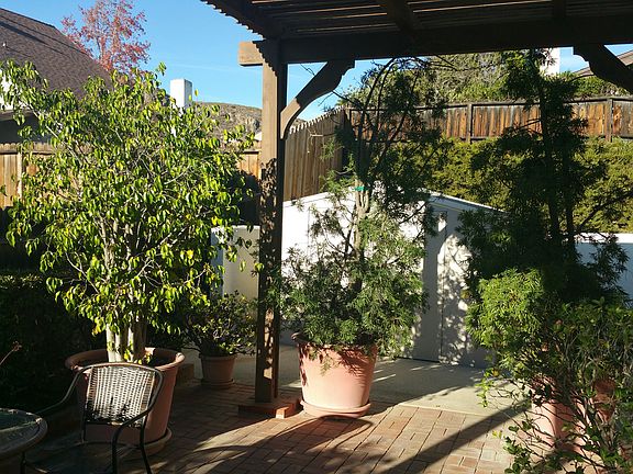 Backyard patio shed
