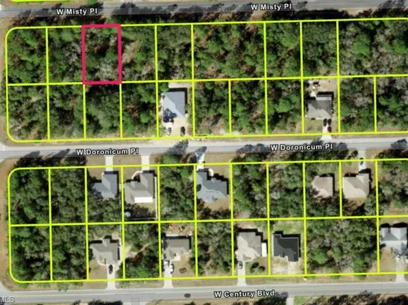 3168 W Misty PL, CITRUS SPRINGS, FL 34433