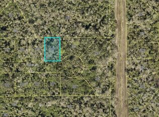 404 Marney Ct, Lehigh Acres, FL 33972