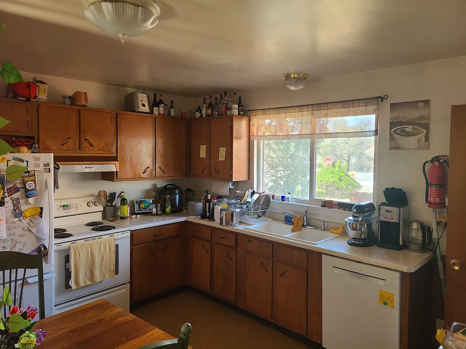 1 bed, 1960 sqft, $1,100 — Photo 1
