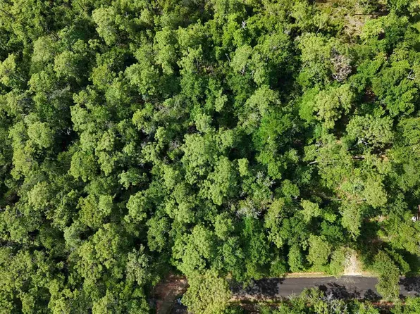 LOT 8 Forestbrook Dr, Milton, FL 32583