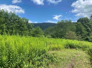 LOT 133 Sunset Mountain Village Dr, Slatyfork, WV 26291