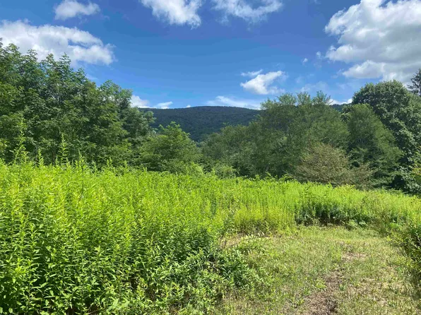 LOT 133 Sunset Mountain Village Dr, Slatyfork, WV 26291