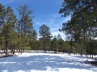 124 Kiowa Cir, Westcliffe, CO 81252