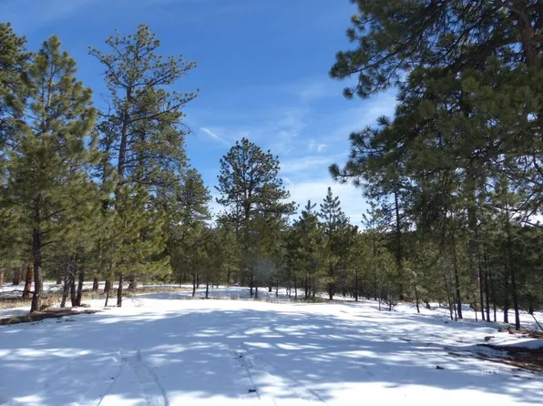 124 Kiowa Cir, Westcliffe, CO 81252