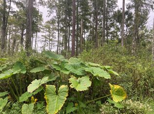 No Name St PARCEL 28173102040030, Lake Helen, FL 32744