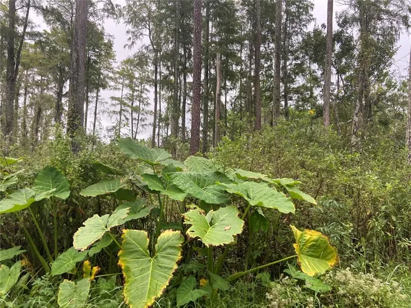 No Name St Parcel 28173102040030, Lake Helen, FL 32744