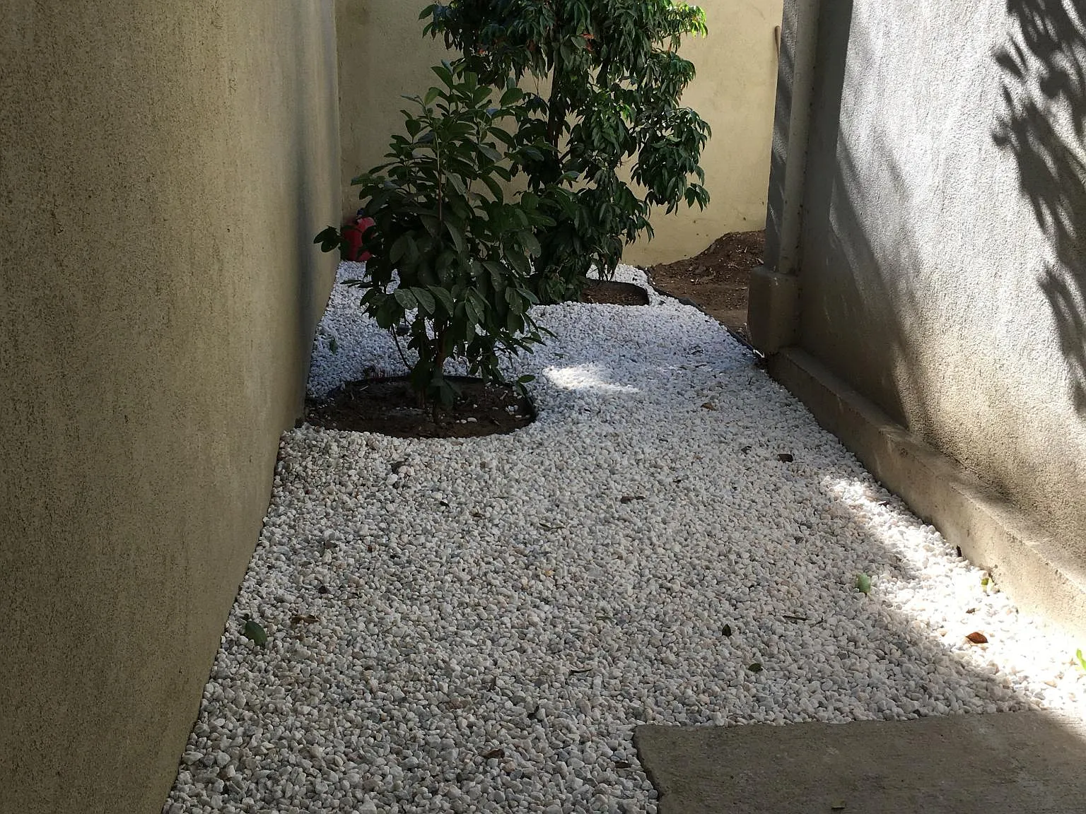 1 bed, 600 sqft, $1,695 — Photo 2
