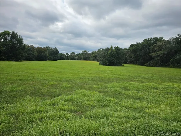 2956 N Anthony Ave, Hernando, FL 34442