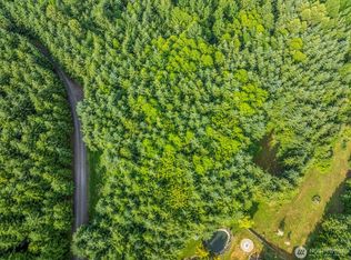 LOT Seventeen Grand Ridge Rd, Toutle, WA 98649