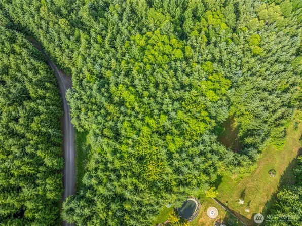 0 Lot 17 Grand Ridge Road, Toutle, WA 98649