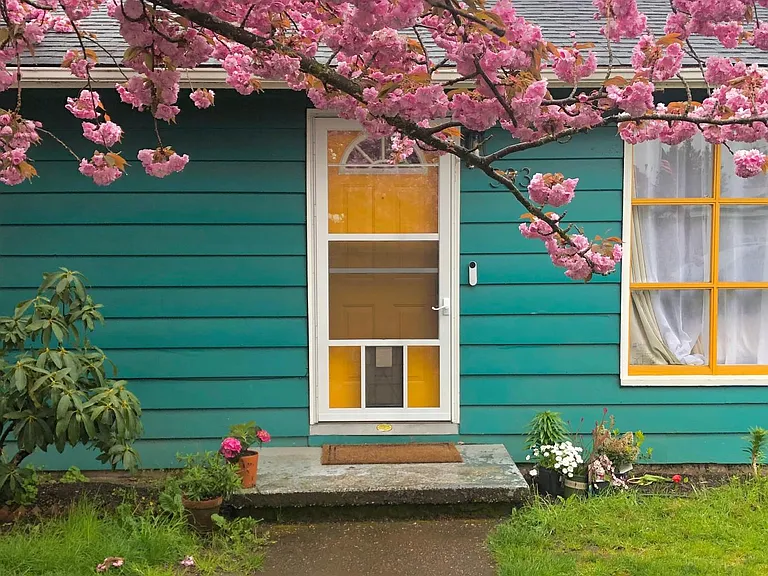 Front door in the Spring
