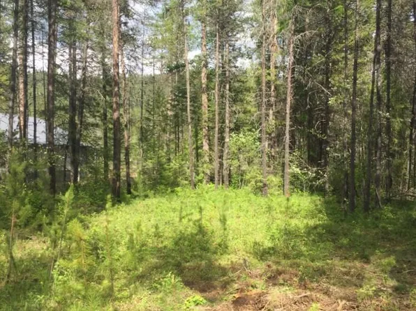 665 Wakena Ln, Priest River, ID 83856