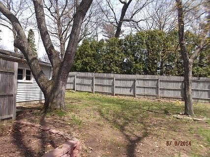 backyard1